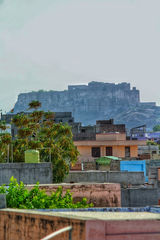 green trees near brown concrete building during daytime in Jodhpur India