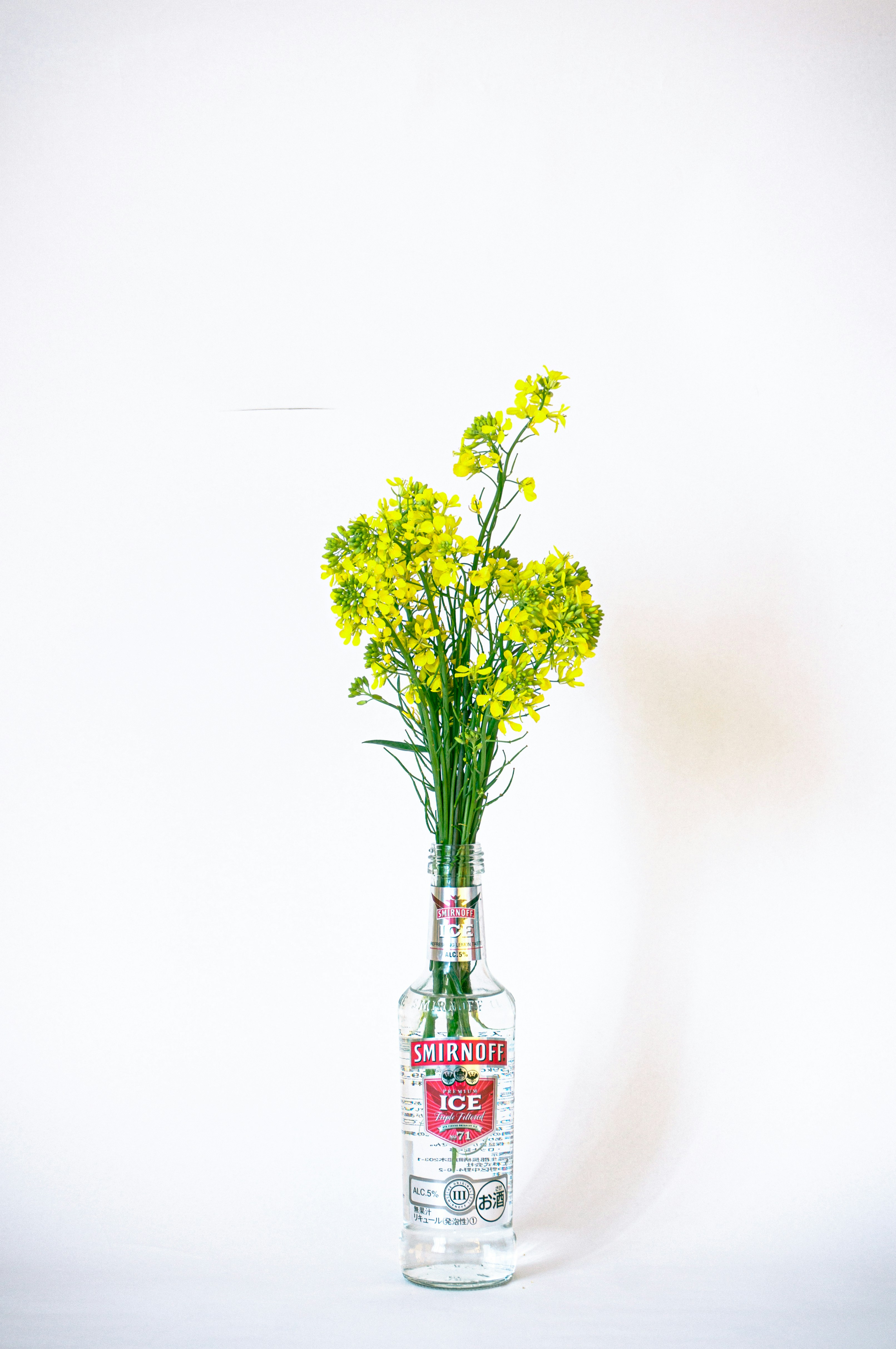 Photo by takenori1128