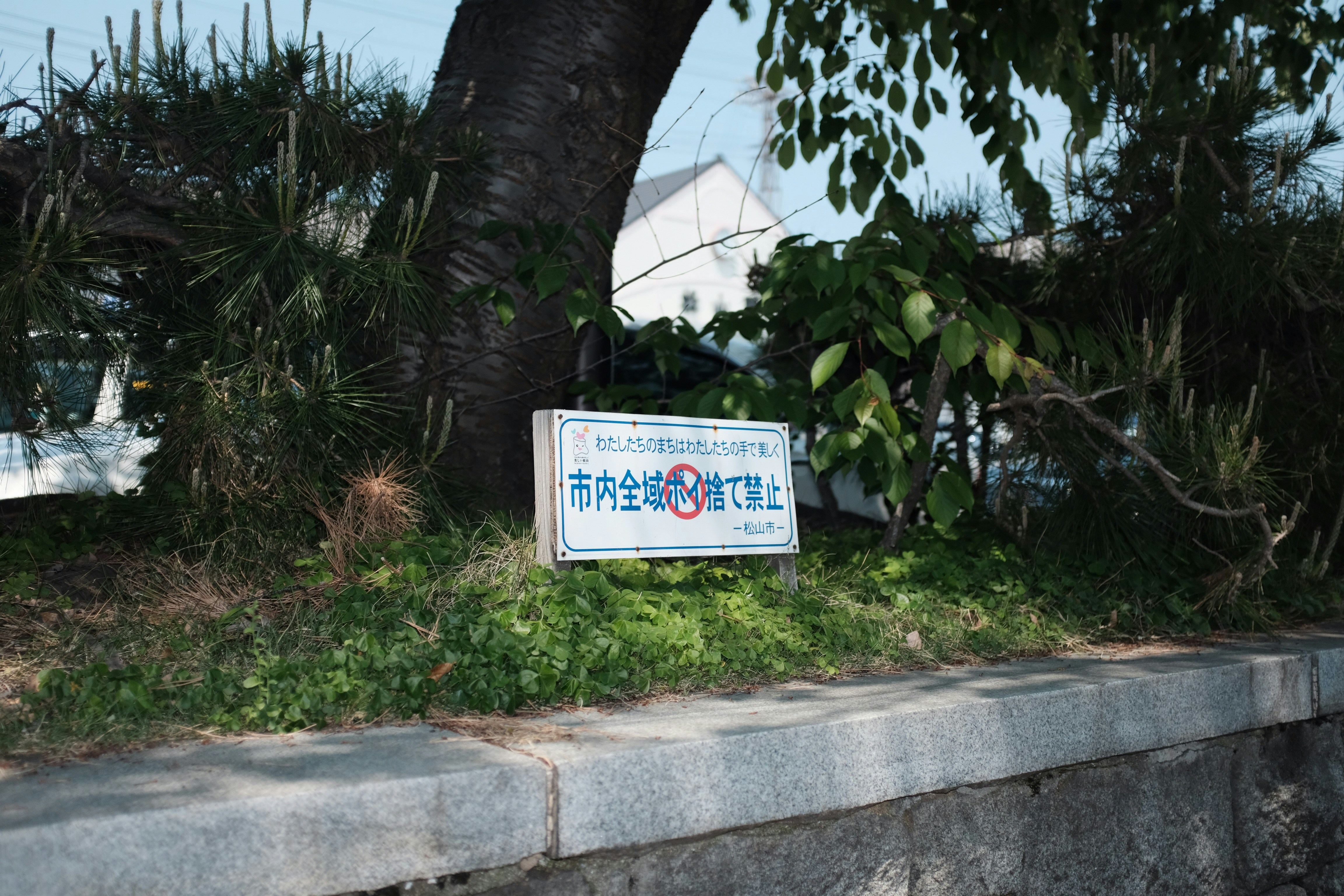 white and blue signage near green leaf tree during daytime
