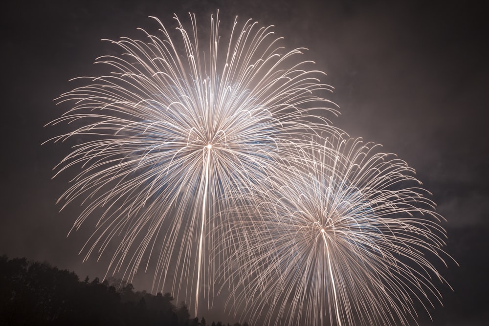 fireworks display during night time