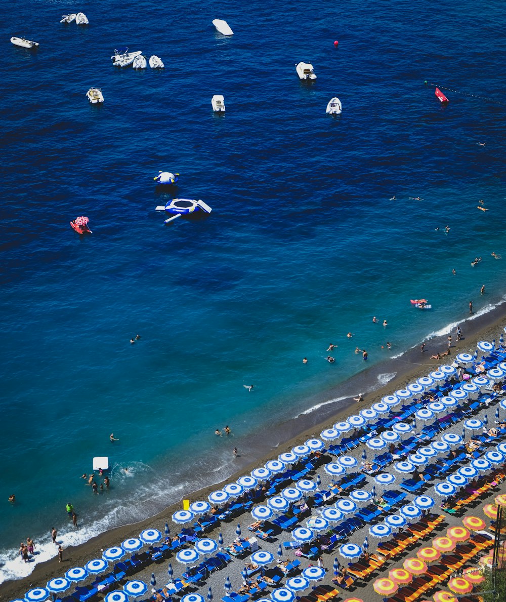 people on beach during daytime