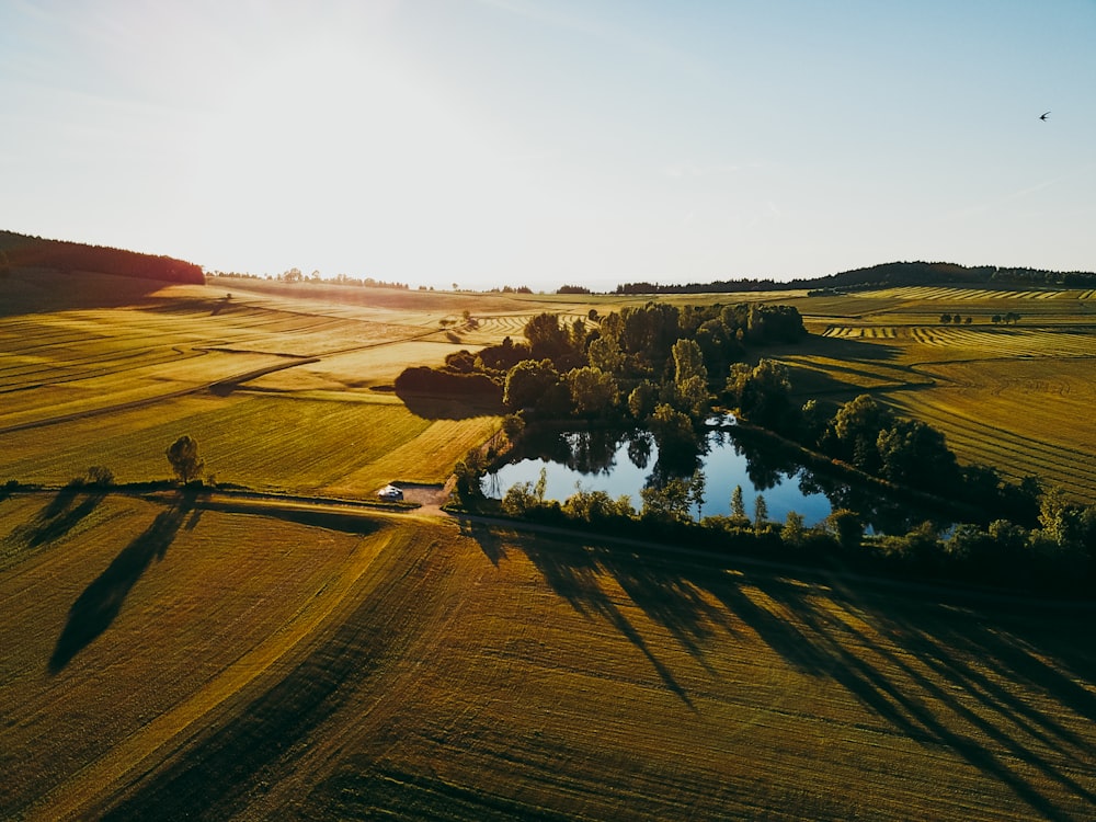 brown field near body of water during daytime