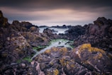 A rugged coastal landscape is depicted with large, dark rocks covered in patches of yellow and green moss. The foreground includes a small pool of water reflecting subdued light, while misty waves crash against the rocks in the background under an overcast sky.