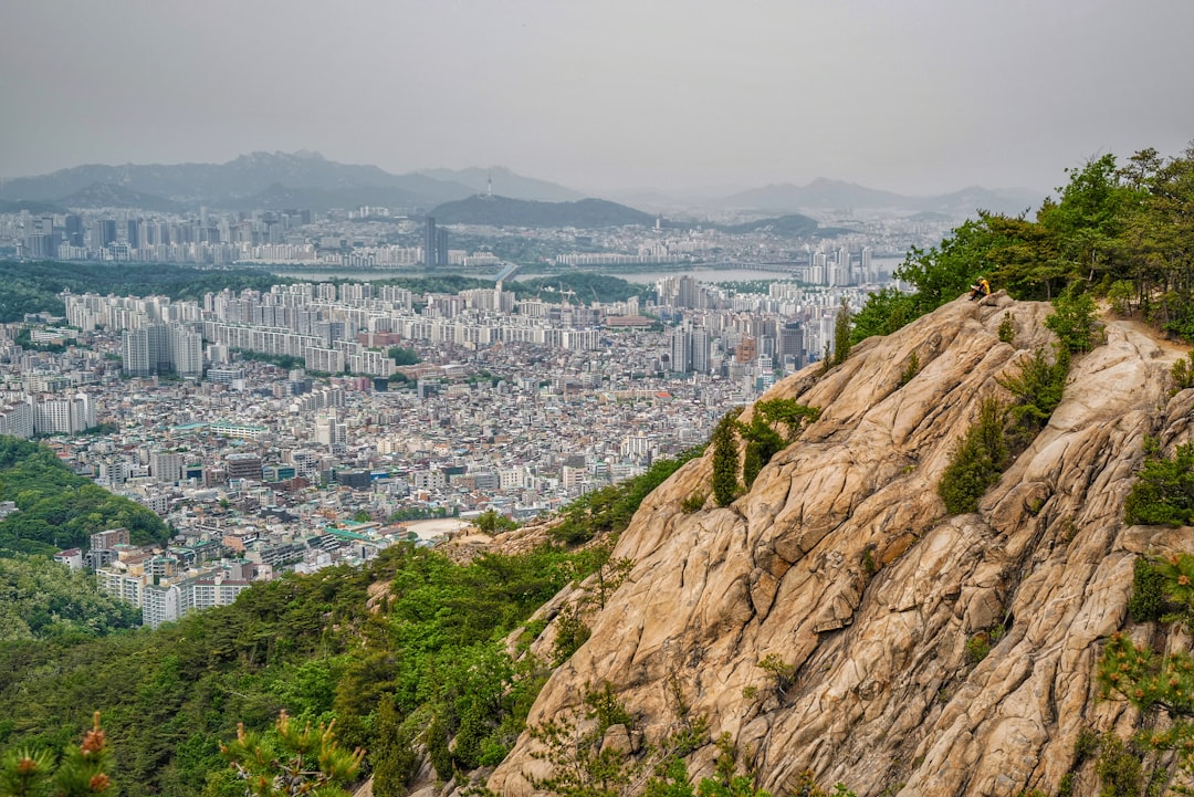 city skyline near body of water during daytime