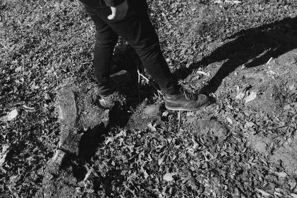 person in black pants and black shoes standing on ground with dried leaves