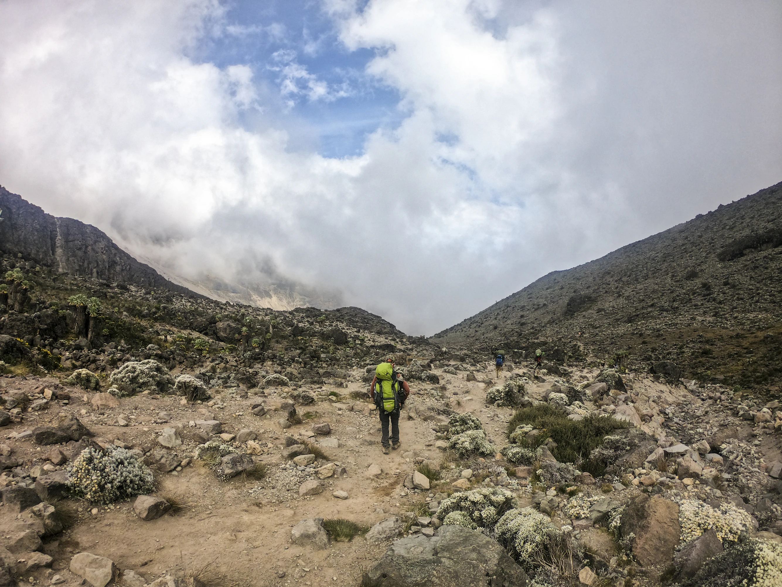 Trekking