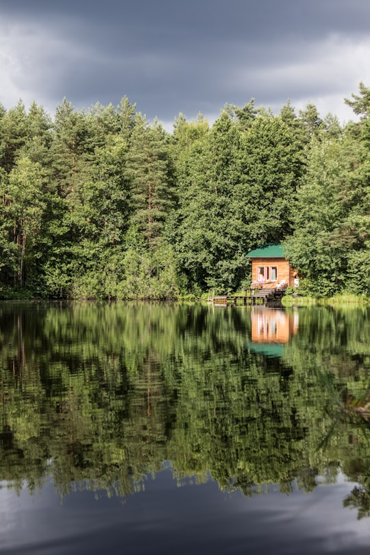 brown wooden house on lake surrounded by green trees during daytime in Uusikirkko Russia