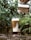 A creamy coffee beverage is being poured into a tall glass, surrounded by scattered coffee beans on a reflective surface. Green plants are blurred in the background, adding a natural atmosphere.