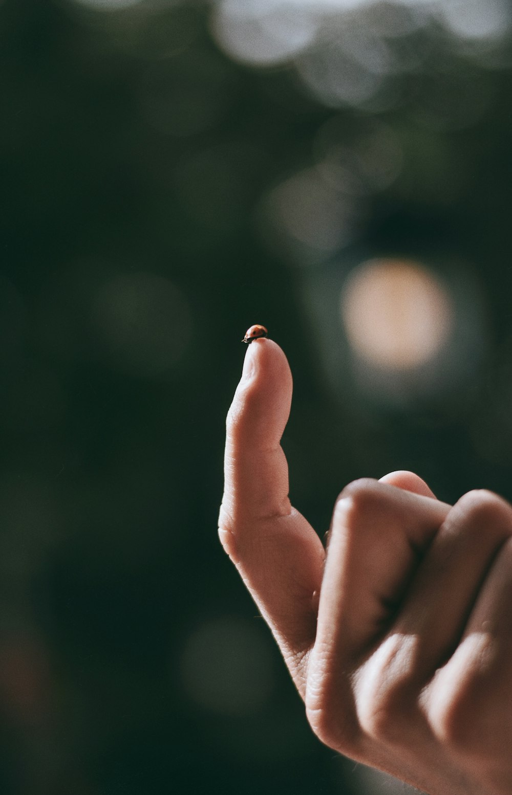 person holding gold ring in bokeh photography