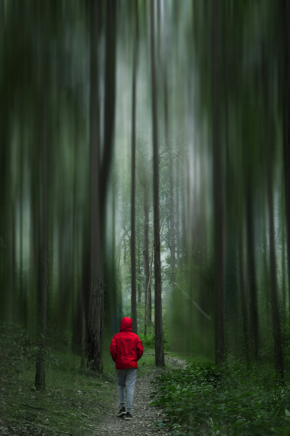 person in red hoodie in forest