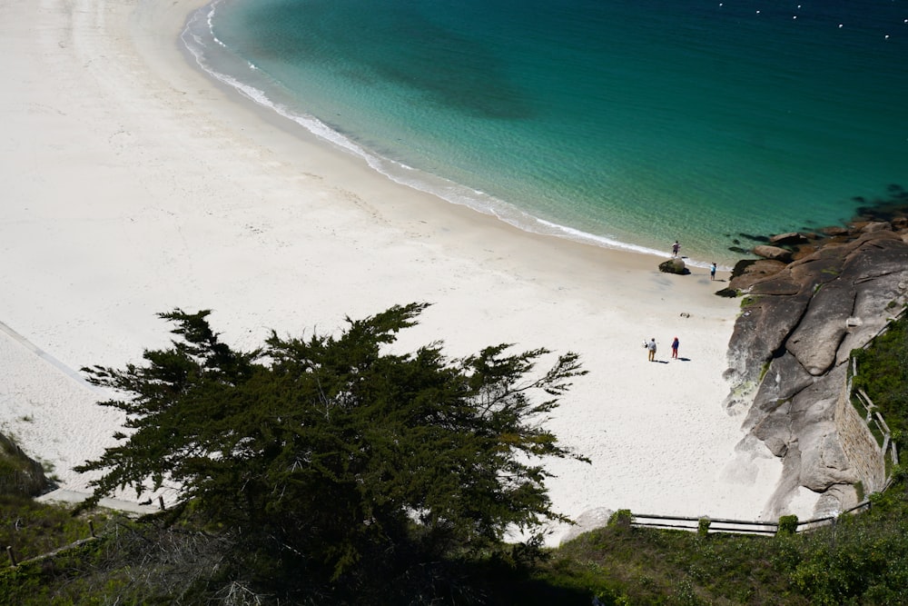 people on beach during daytime