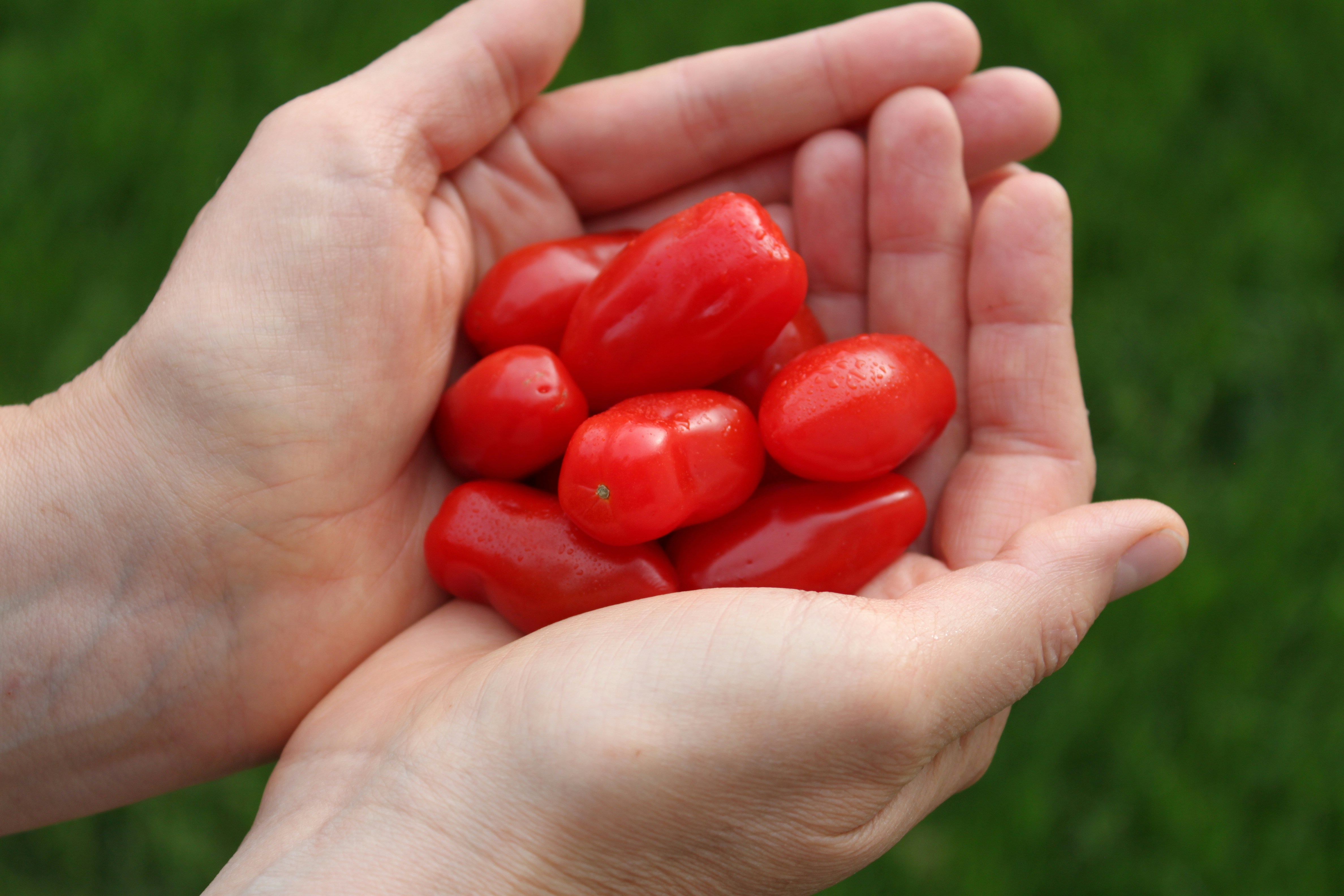 Photo by aeris_bowers