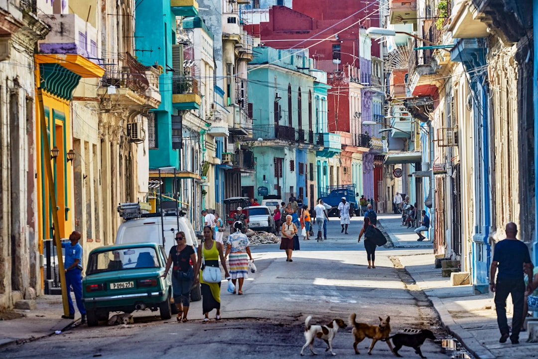 people walking on sidewalk during daytime