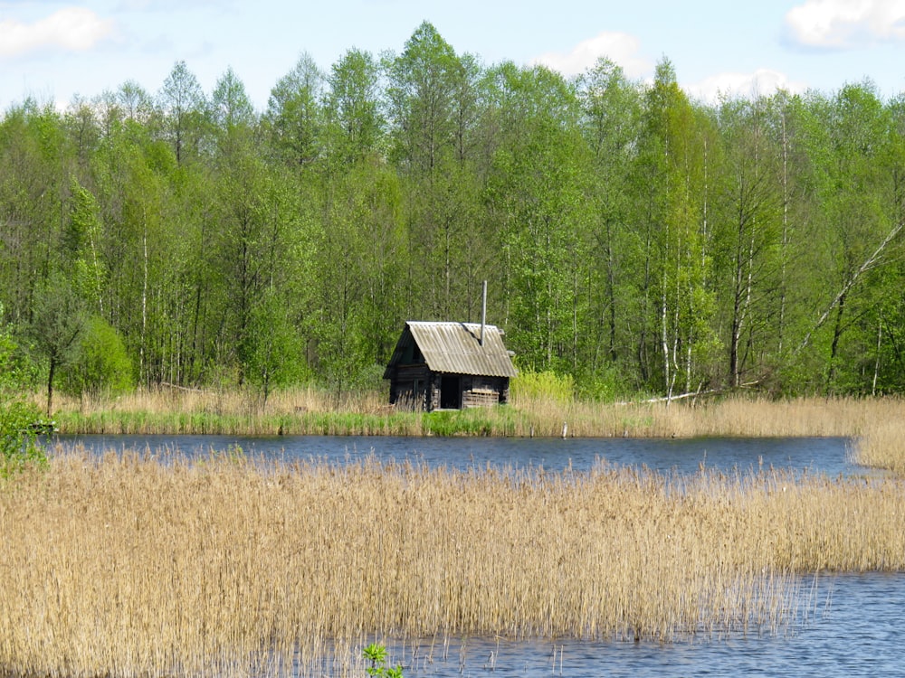 Braunes Holzhaus auf grünem Grasfeld in der Nähe des Sees tagsüber