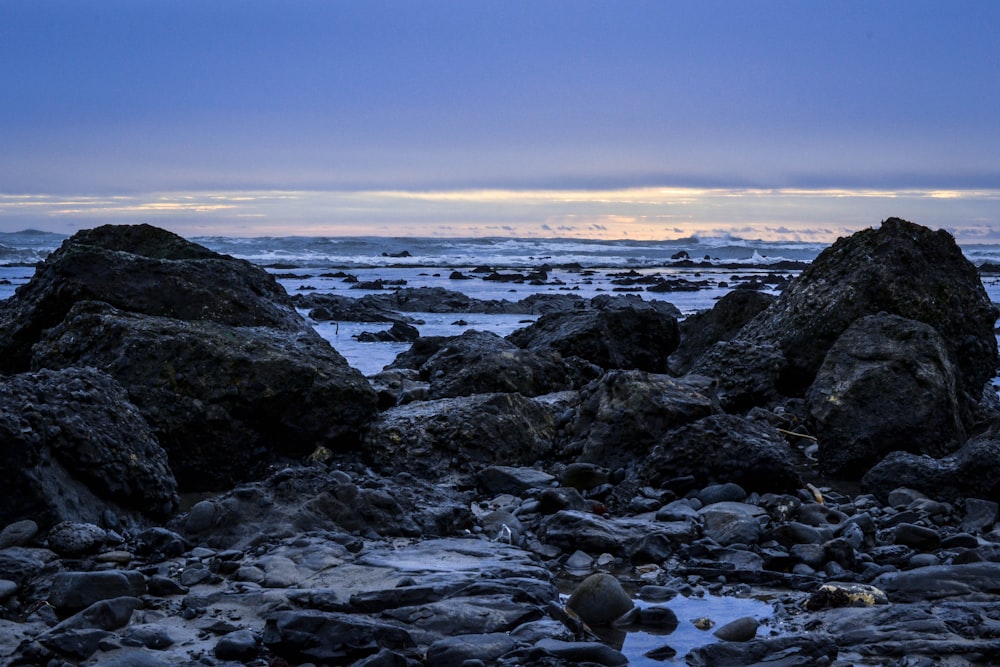 rocky shore under blue sky during daytime