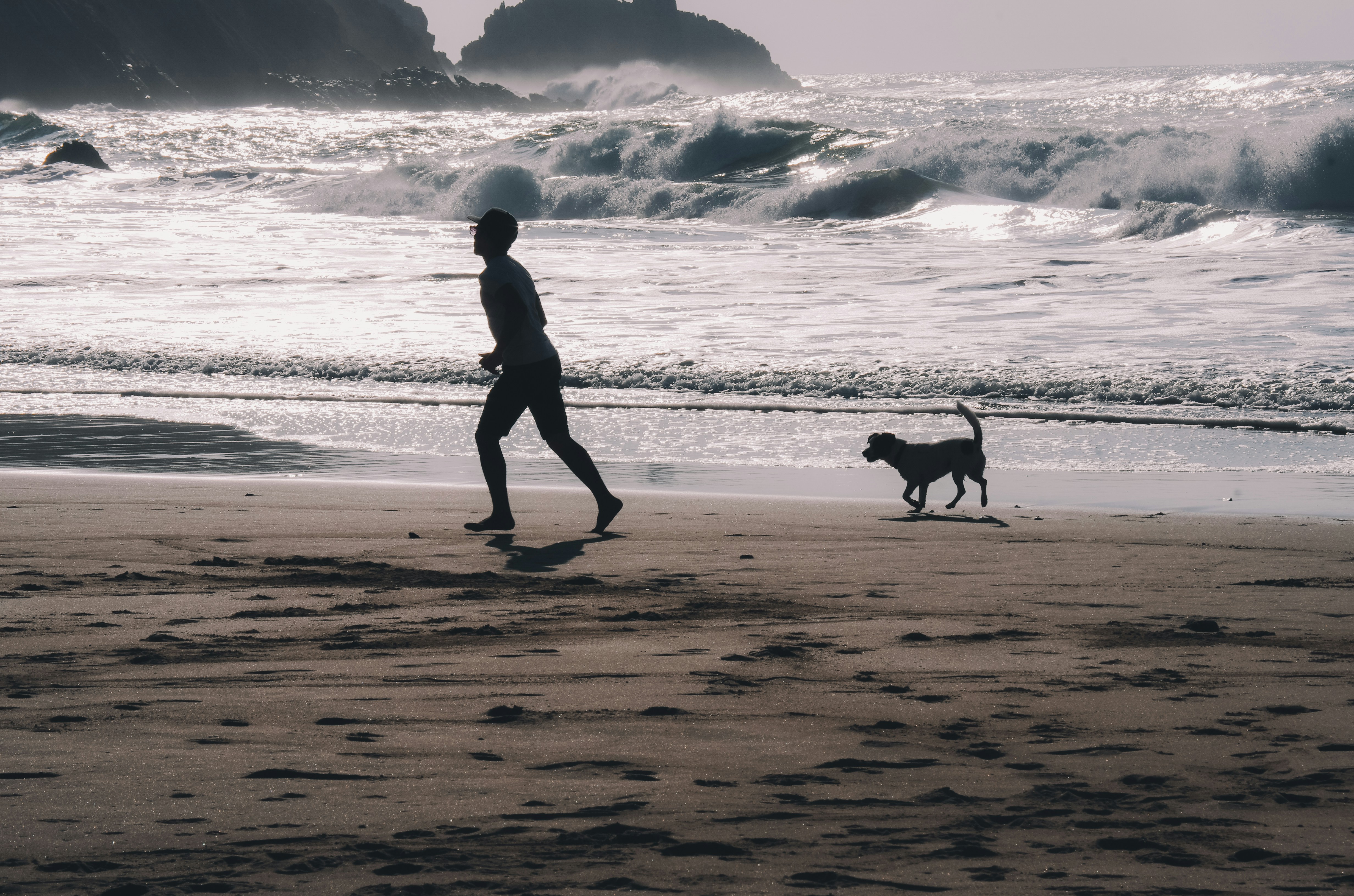silhouette of man walking on beach shore with dog, 