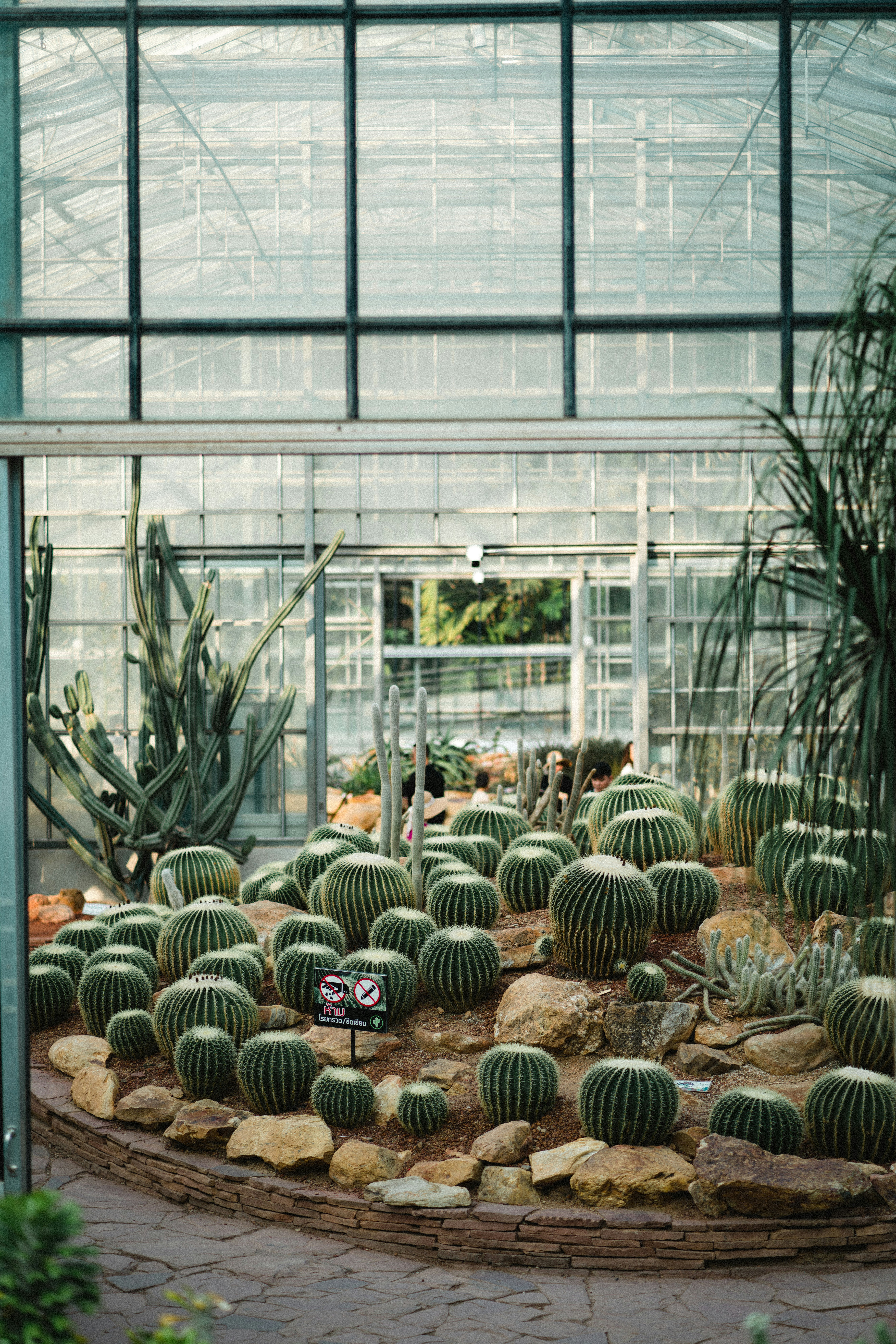 Botanic garden