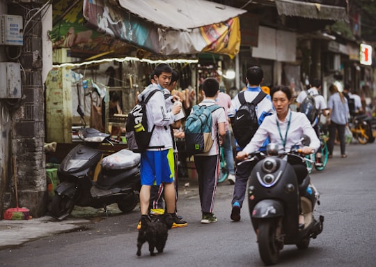 people walking on street during daytime in Chengdu China