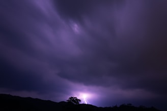Screenshot of the atmospheric After the Storm book trailer playing on a screen.