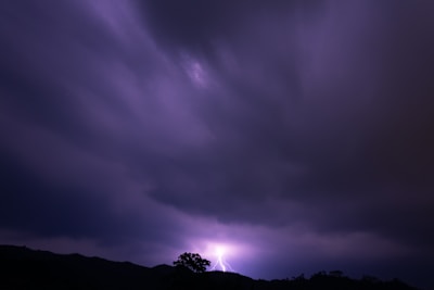 Screenshot of the atmospheric After the Storm book trailer playing on a screen.