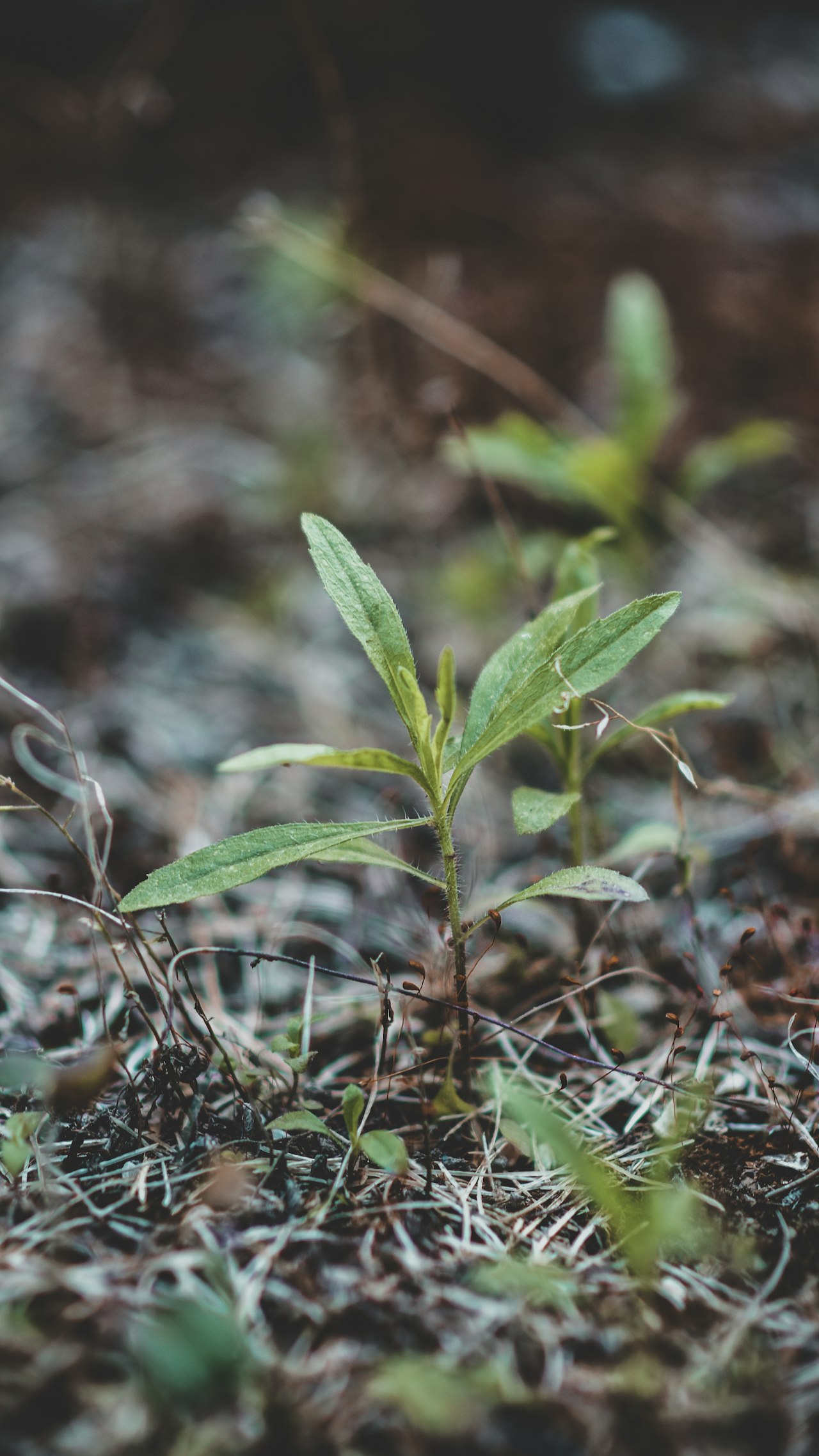 Supporting Environmental Education: The Catamount Institute