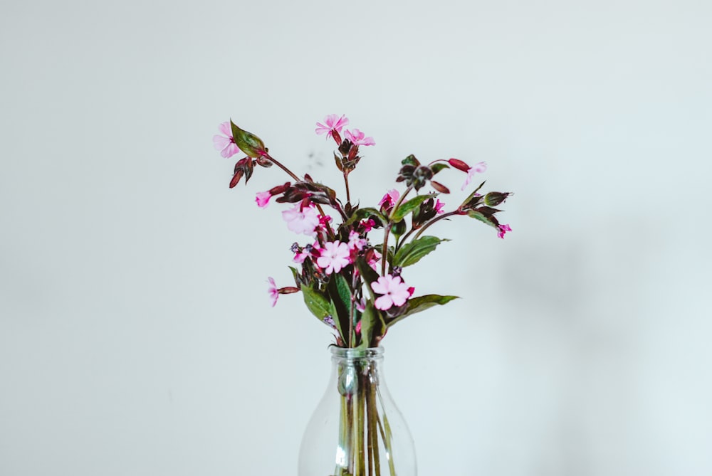 pink flowers in clear glass vase