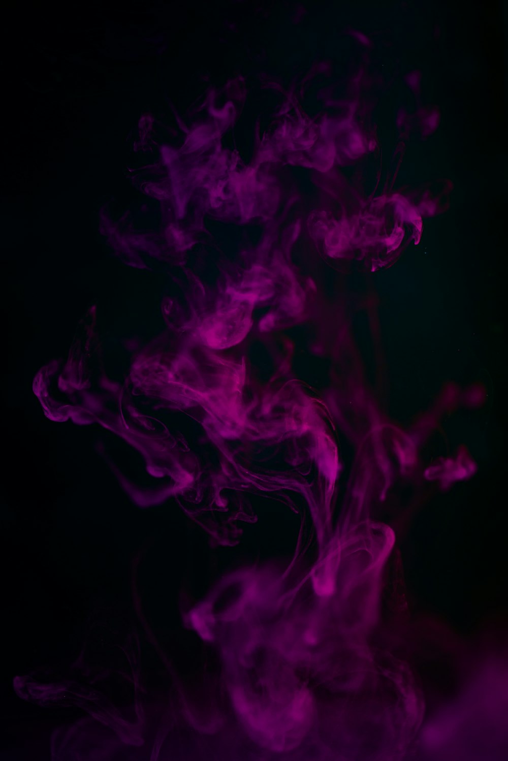 lila Rauch in schwarzem Hintergrund