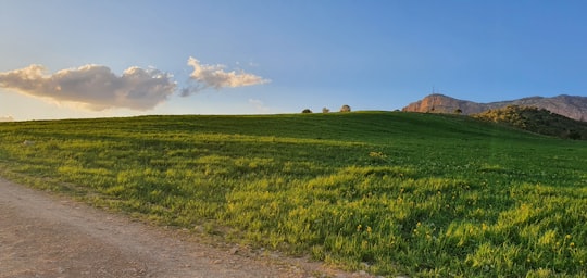 green grass field under blue sky during daytime in Ilam Iran