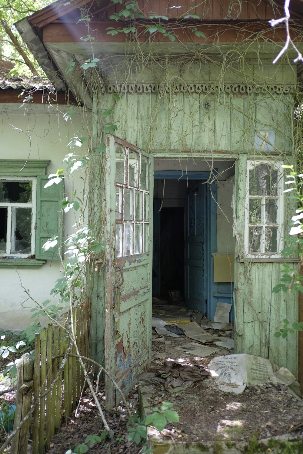 Porte en bois bleu sur bâtiment en béton vert