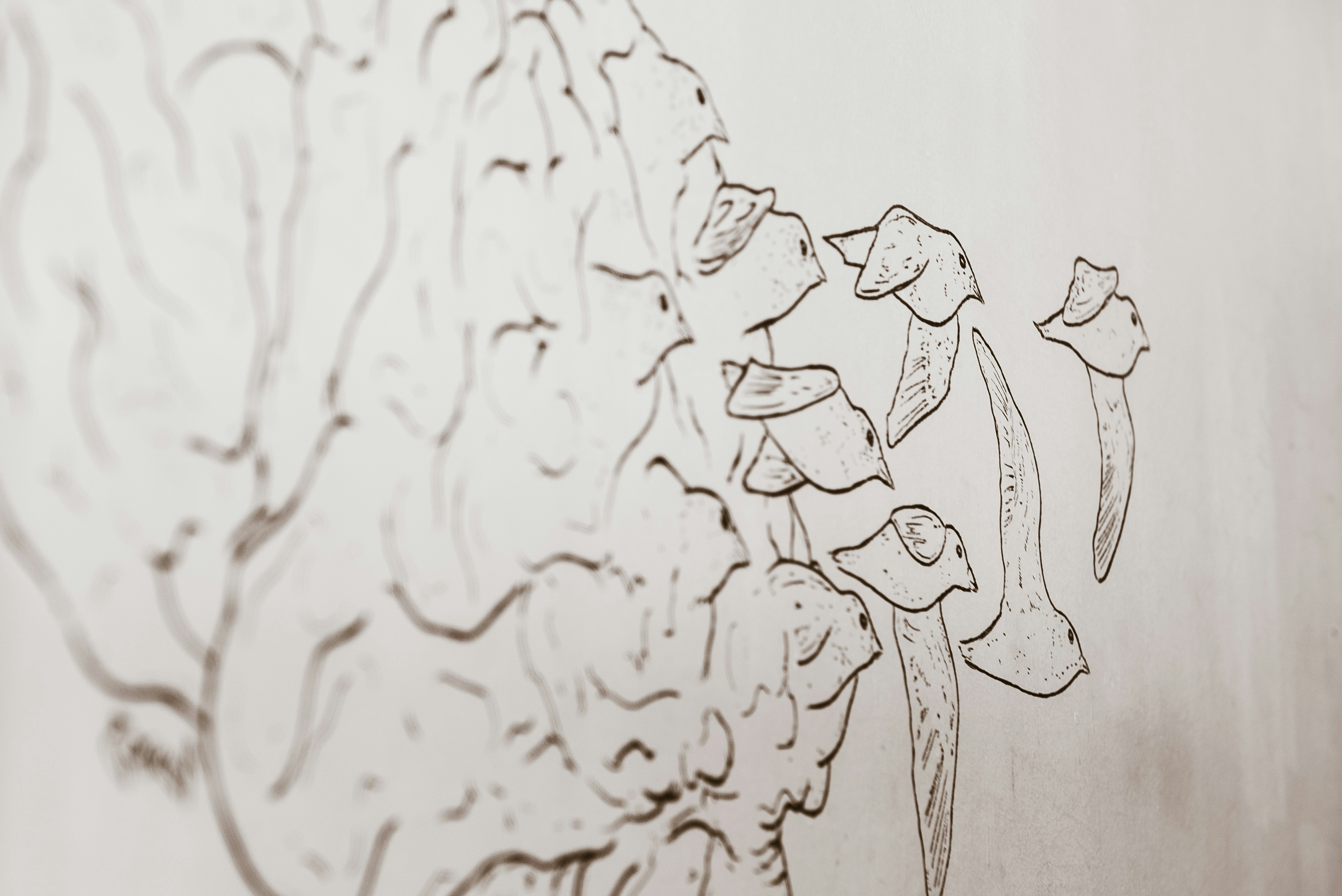 Why MS Patients Should Care About Bone Health