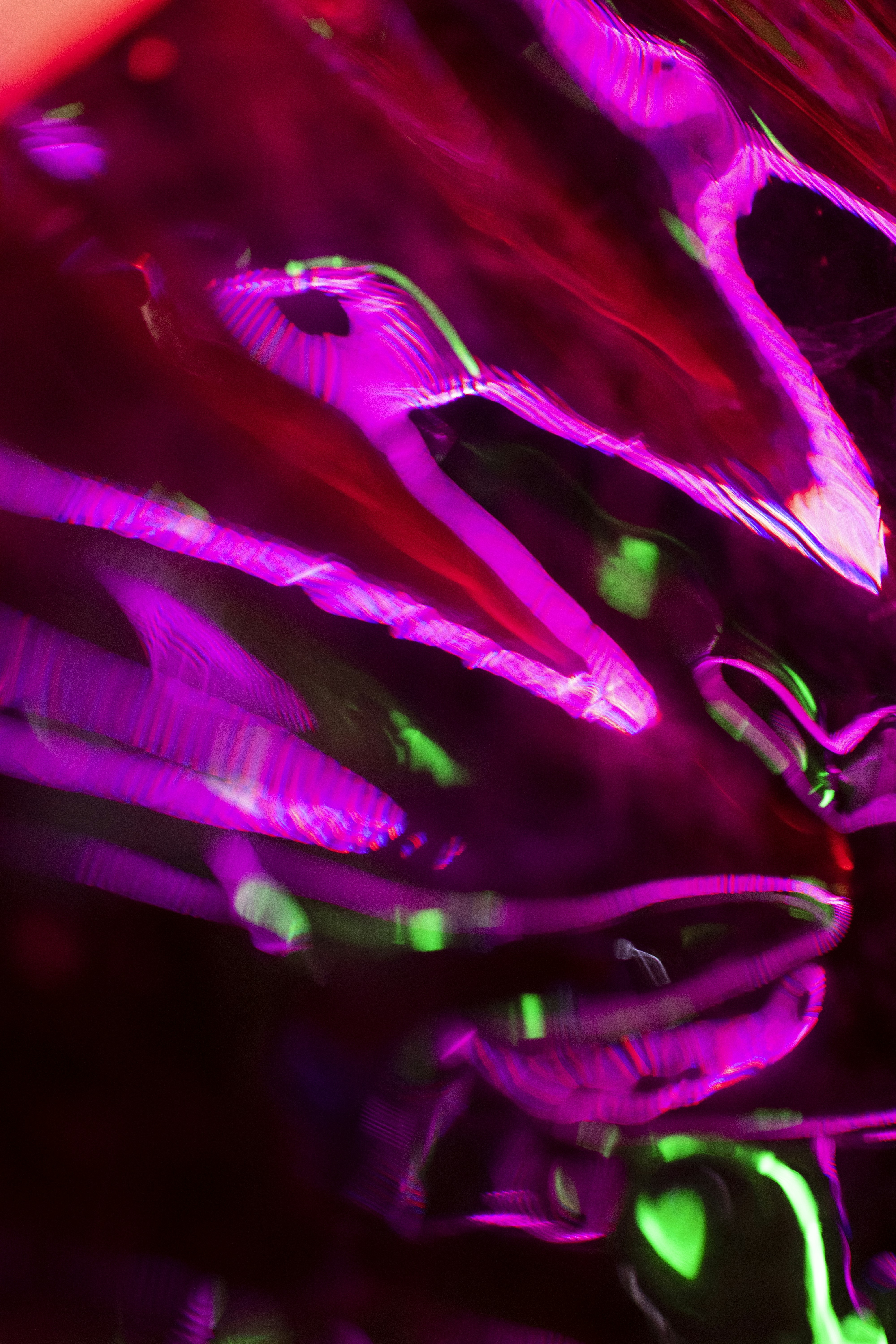 Photo by misterpecao