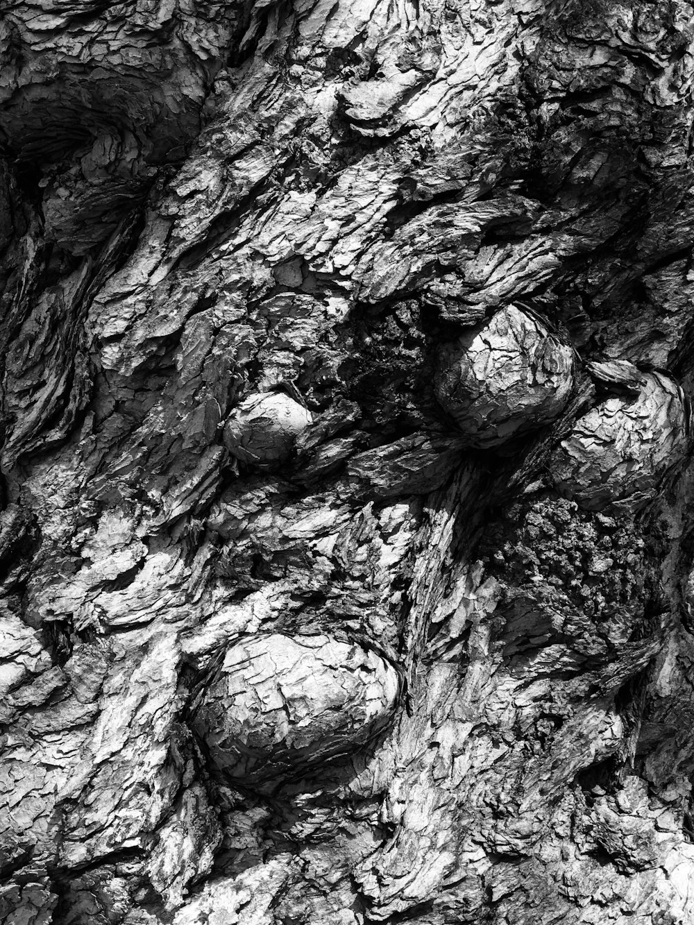 grayscale photo of rock formation