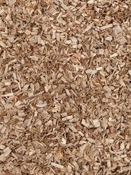 brown dried leaves on ground