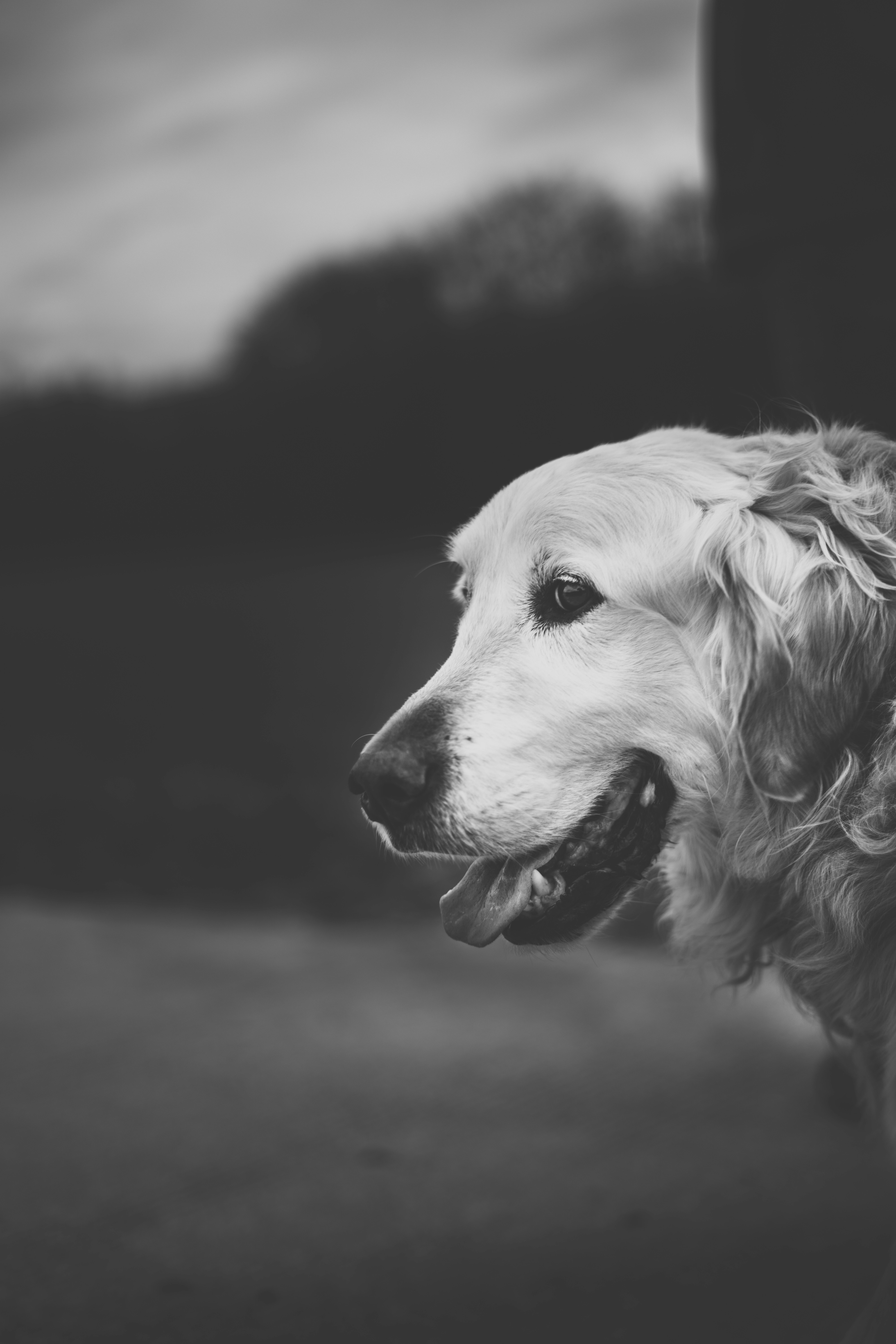 Photo by virussinside