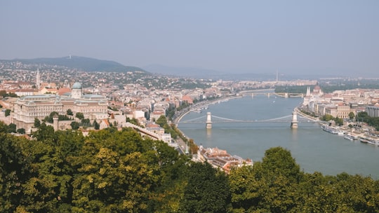 aerial view of city buildings near body of water during daytime in Buda Castle Hungary