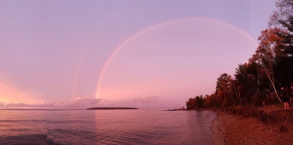 body of water near trees under rainbow