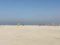 Cheering crowds in colorful attire supporting their local cricket team on a sunny afternoon.
