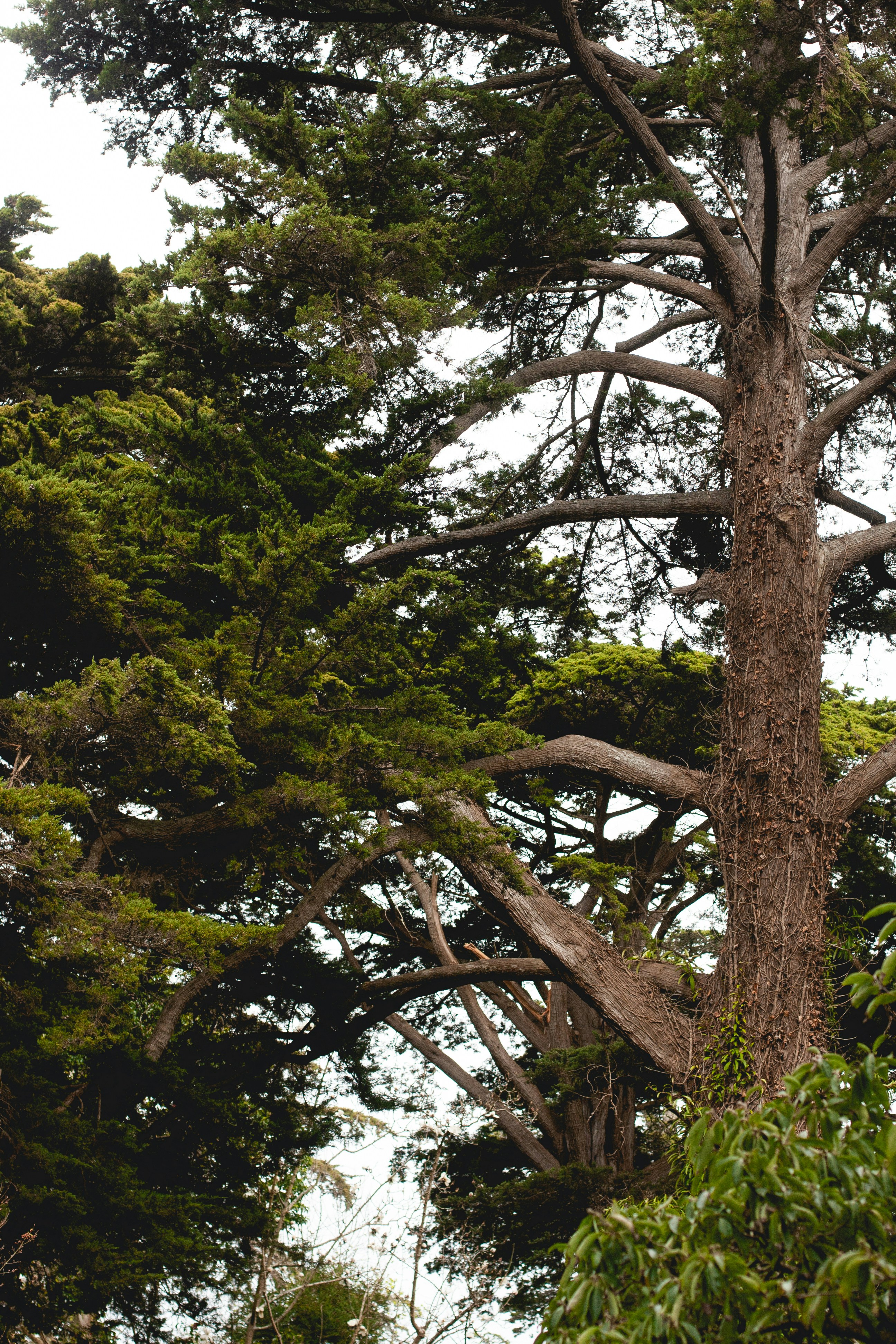 Photo by davidschultz