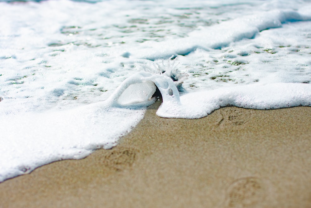 white sand on brown sand