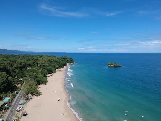 green trees on seashore during daytime