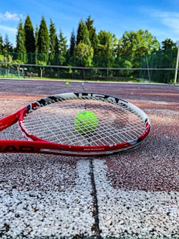 A tennis racket lies on a clay tennis court with a bright green tennis ball positioned near the center of the racket. The background displays a net and a row of lush green trees under a clear blue sky.