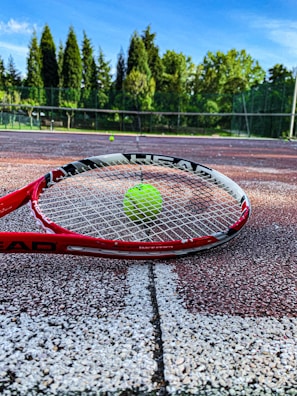 A tennis racket lies on a clay tennis court with a bright green tennis ball positioned near the center of the racket. The background displays a net and a row of lush green trees under a clear blue sky.