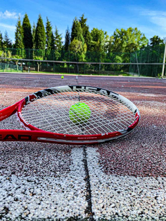 A well-used tennis racket leaning against a net with lush green courts in the background.