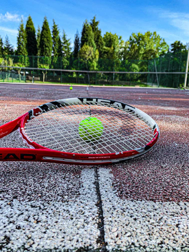 A well-used tennis racket leaning against a net with lush green courts in the background.