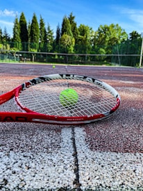 A tennis racket lies on a clay tennis court with a bright green tennis ball positioned near the center of the racket. The background displays a net and a row of lush green trees under a clear blue sky.