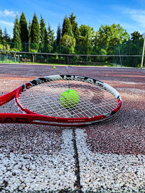 A tennis racket lies on a clay tennis court with a bright green tennis ball positioned near the center of the racket. The background displays a net and a row of lush green trees under a clear blue sky.