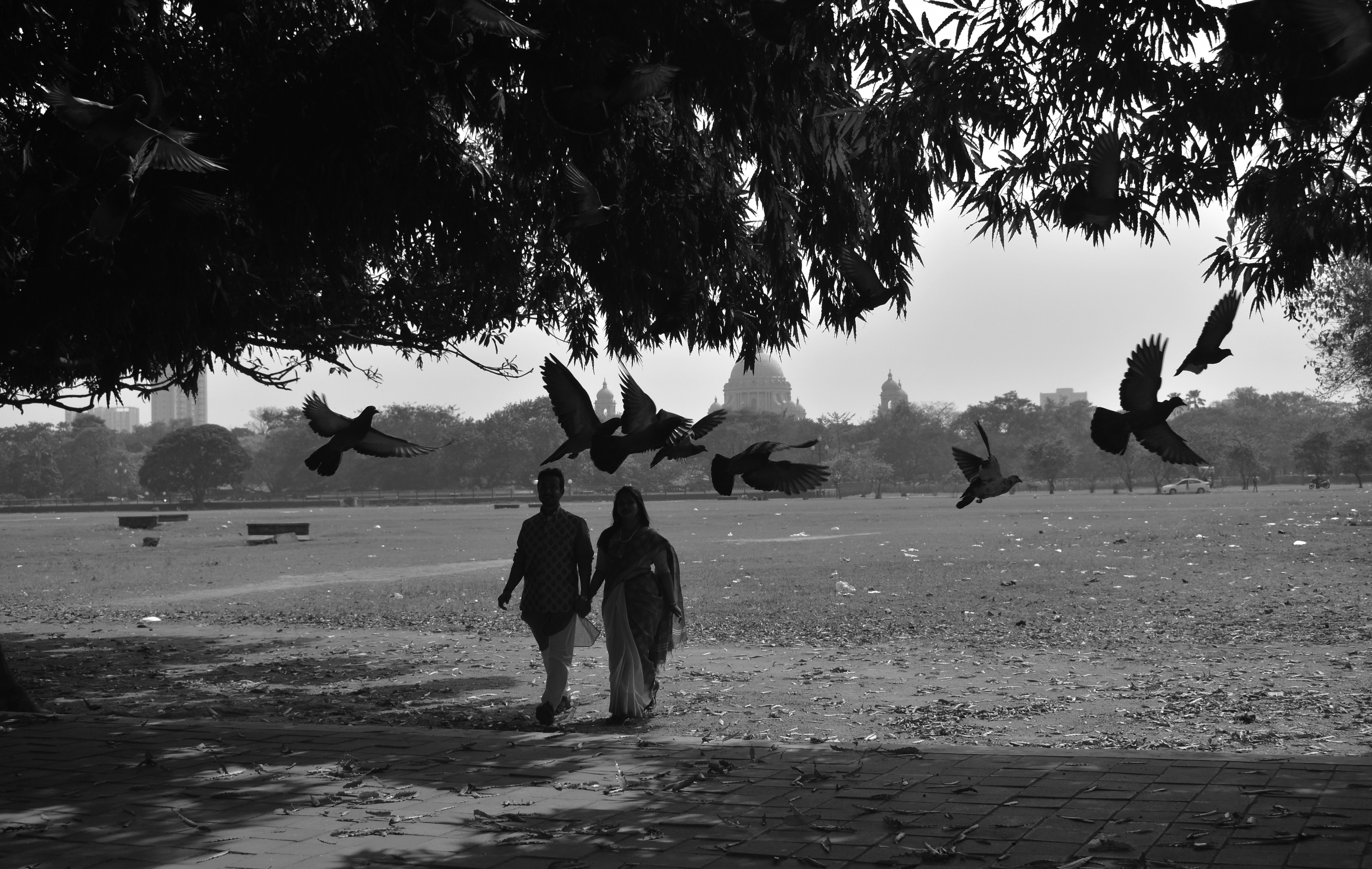 Photo by photographicakash