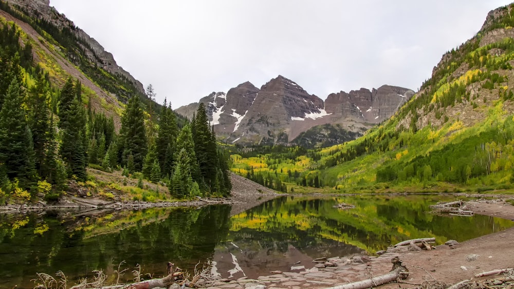 arbres verts près du lac et des montagnes pendant la journée