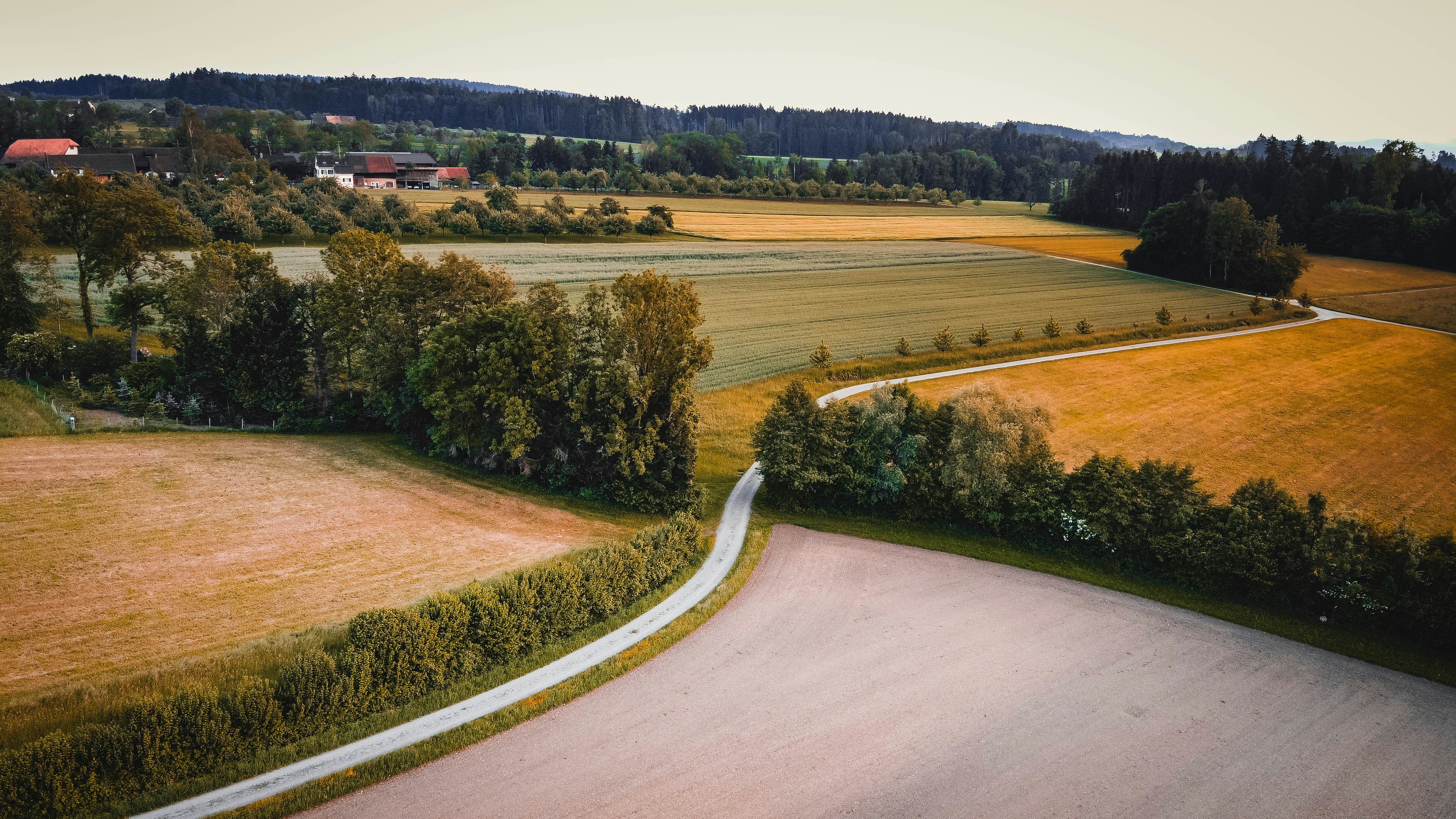 Photo by janoschphotos
