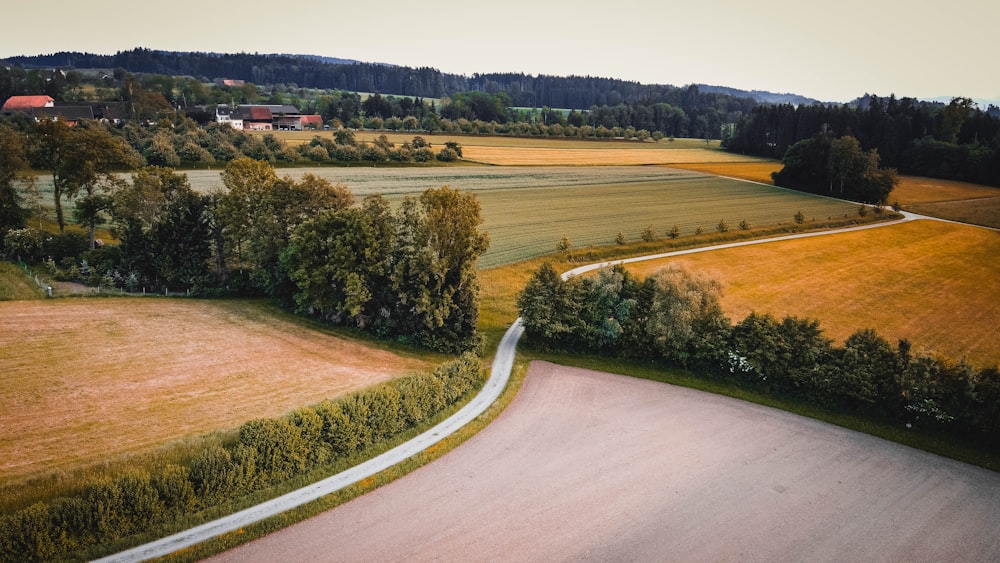 green trees on brown field during daytime